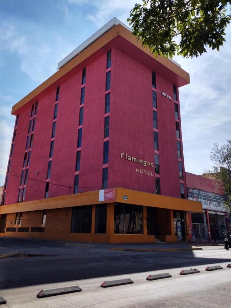 Hotel Flamingos グアダラハラ エクステリア 写真
